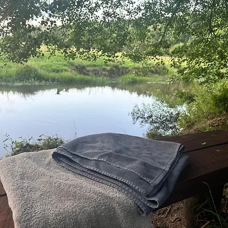 Skovly - Et Lille Eventyr Med Udsigt Og Balhygge